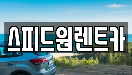 서울 동작구 렌트카 전문 스피드원렌트카
