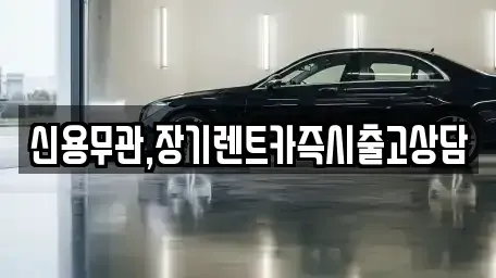 서울 동작구 장기렌트카 전문 신용무관,장기렌트카즉시출고상담