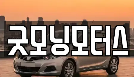 서울 동작구 중고차 전문 굿모닝모터스