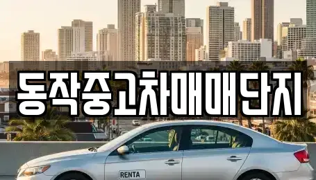 서울 동작구 중고차 전문 동작중고차매매단지