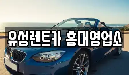 서울 마포구 서교동 렌트카 전문 유성렌트카 홍대영업소