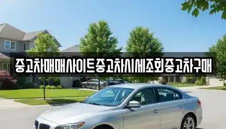 서울 마포구 서교동 중고차 전문 중고차매매사이트중고차시세조회중고차구매