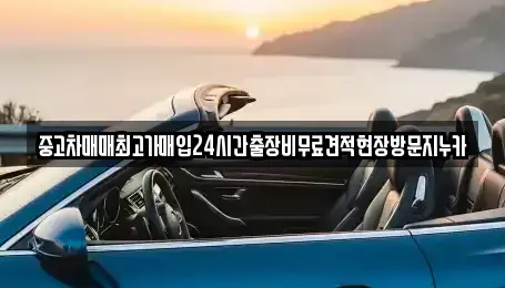 서울 마포구 서교동 중고차 전문 중고차매매최고가매입24시간출장비무료견적현장방문지누카