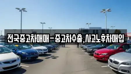 서울 마포구 서교동 중고차매입 전문 전국중고차매매-중고차수출,사고노후차매입