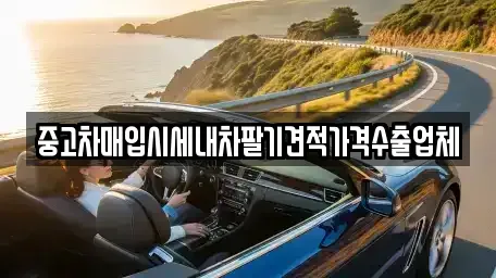서울 마포구 서교동 중고차매입 전문 중고차매입시세내차팔기견적가격수출업체