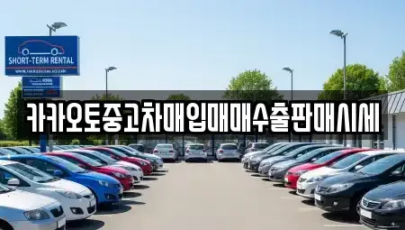 서울 마포구 서교동 중고차매입 전문 카카오토중고차매입매매수출판매시세