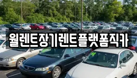 서울 서대문구 옥천동 장기렌트카 전문 월렌트장기렌트플랫폼직카