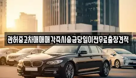 서울 서대문구 옥천동 중고차 전문 관허중고차매매매각즉시송금당일이전무료출장견적