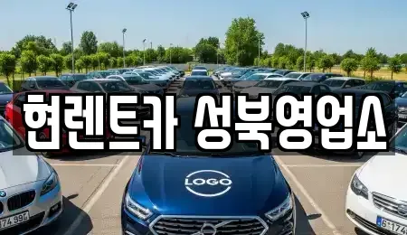서울 성북구 보문동1가 렌트카 전문 현렌트카 성북영업소