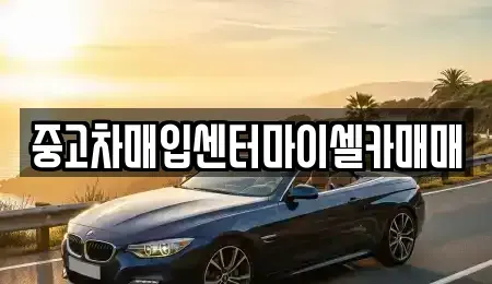 서울 성북구 보문동1가 중고차매입 전문 중고차매입센터마이셀카매매