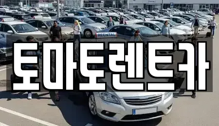 서울 송파구 송파동 렌트카 전문 토마토렌트카