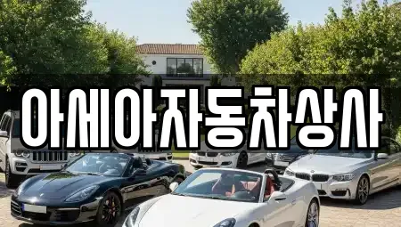 서울 송파구 송파동 중고차매매 전문 아세아자동차상사