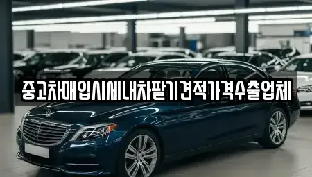 서울 송파구 송파동 중고차매입 전문 중고차매입시세내차팔기견적가격수출업체