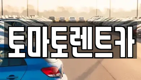 서울 송파구 풍납동 렌트카 전문 토마토렌트카