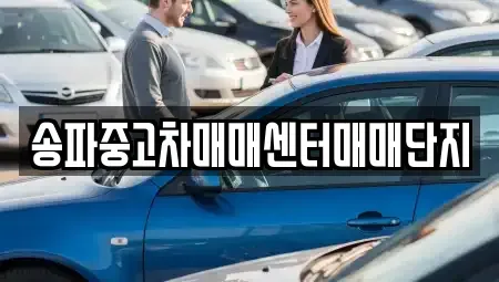 서울 송파구 풍납동 중고차 전문 송파중고차매매센터매매단지