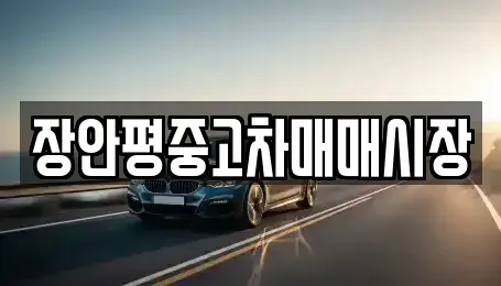 서울 송파구 풍납동 중고차 전문 장안평중고차매매시장