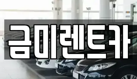 서울 영등포구 양평동3가 렌트카 전문 금미렌트카