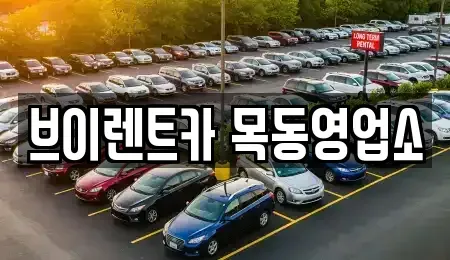 서울 영등포구 양평동3가 장기렌트카 전문 브이렌트카 목동영업소
