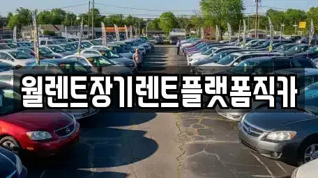 서울 종로구 궁정동 장기렌트카 전문 월렌트장기렌트플랫폼직카