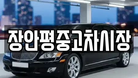 서울 종로구 서린동 중고차매매 전문 장안평중고차시장
