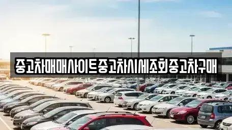 서울 종로구 서린동 중고차매매 전문 중고차매매사이트중고차시세조회중고차구매