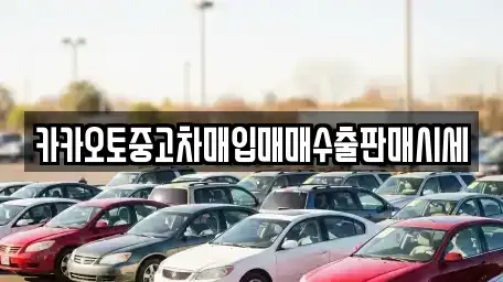 서울 종로구 신교동 중고차 전문 카카오토중고차매입매매수출판매시세