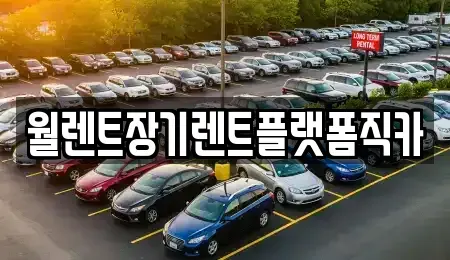 서울 종로구 안국동 렌트카 전문 월렌트장기렌트플랫폼직카
