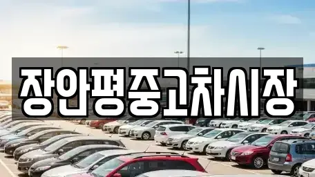서울 종로구 안국동 중고차매매 전문 장안평중고차시장