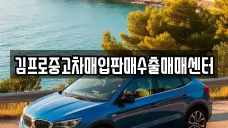 서울 종로구 안국동 중고차매입 전문 김프로중고차매입판매수출매매센터