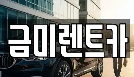 서울 종로구 재동 렌트카 전문 금미렌트카