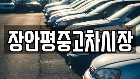 서울 종로구 재동 중고차매매 전문 장안평중고차시장