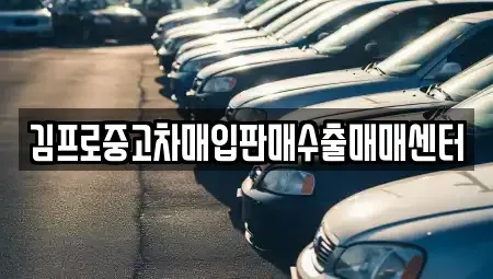 서울 종로구 재동 중고차매입 전문 김프로중고차매입판매수출매매센터