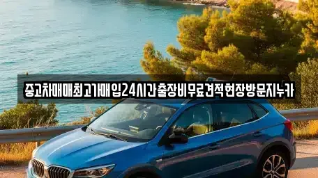 서울 종로구 재동 중고차매입 전문 중고차매매최고가매입24시간출장비무료견적현장방문지누카