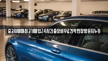 서울 종로구 창성동 중고차 전문 중고차매매최고가매입24시간출장비무료견적현장방문지누카