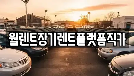 서울 종로구 홍지동 렌트카 전문 월렌트장기렌트플랫폼직카