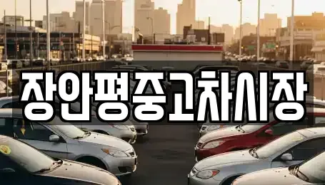 서울 종로구 홍지동 중고차 전문 장안평중고차시장