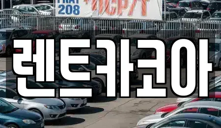 서울 중구 만리동2가 렌트카 전문 렌트카코아
