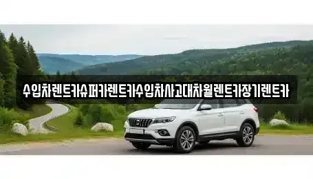 서울 중구 만리동2가 장기렌트카 전문 수입차렌트카슈퍼카렌트카수입차사고대차월렌트카장기렌트카