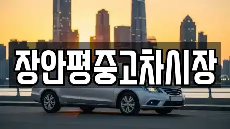 서울 중구 만리동2가 중고차 전문 장안평중고차시장
