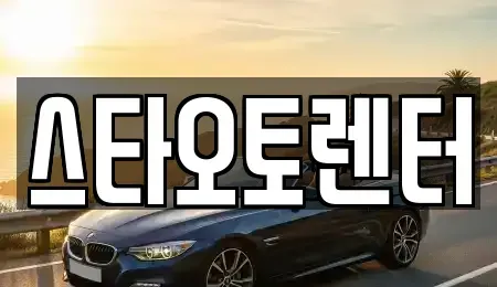 서울 중구 을지로5가 렌트카 전문 스타오토렌터
