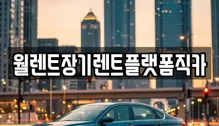 서울 중구 을지로5가 장기렌트카 전문 월렌트장기렌트플랫폼직카