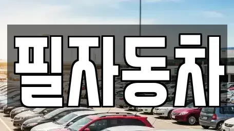 서울 중구 을지로5가 중고차 전문 필자동차