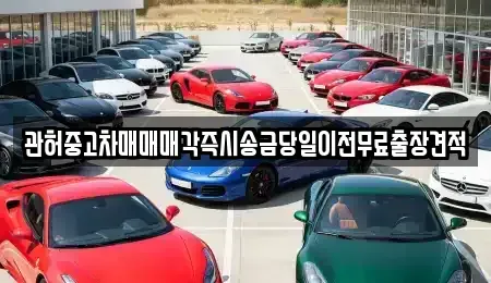서울 중구 을지로5가 중고차매매 전문 관허중고차매매매각즉시송금당일이전무료출장견적