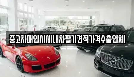 서울 중구 을지로5가 중고차매입 전문 중고차매입시세내차팔기견적가격수출업체