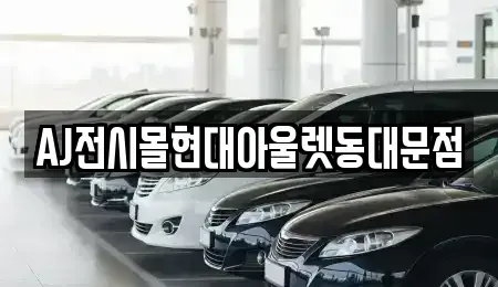 서울 중구 필동3가 렌트카 전문 AJ전시몰현대아울렛동대문점