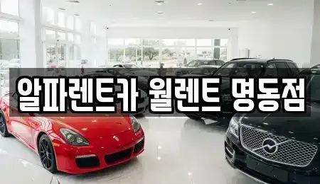 서울 중구 필동3가 렌트카 전문 알파렌트카 월렌트 명동점