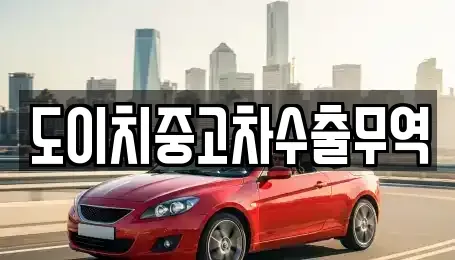 서울 중구 필동3가 중고차 전문 도이치중고차수출무역