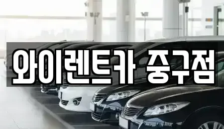 서울 중구 황학동 렌트카 전문 와이렌트카 중구점