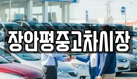 서울 중구 황학동 중고차 전문 장안평중고차시장