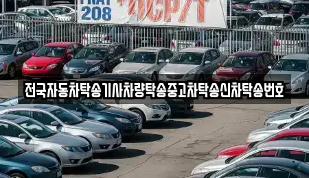 서울 중구 황학동 중고차 전문 전국자동차탁송기사차량탁송중고차탁송신차탁송번호